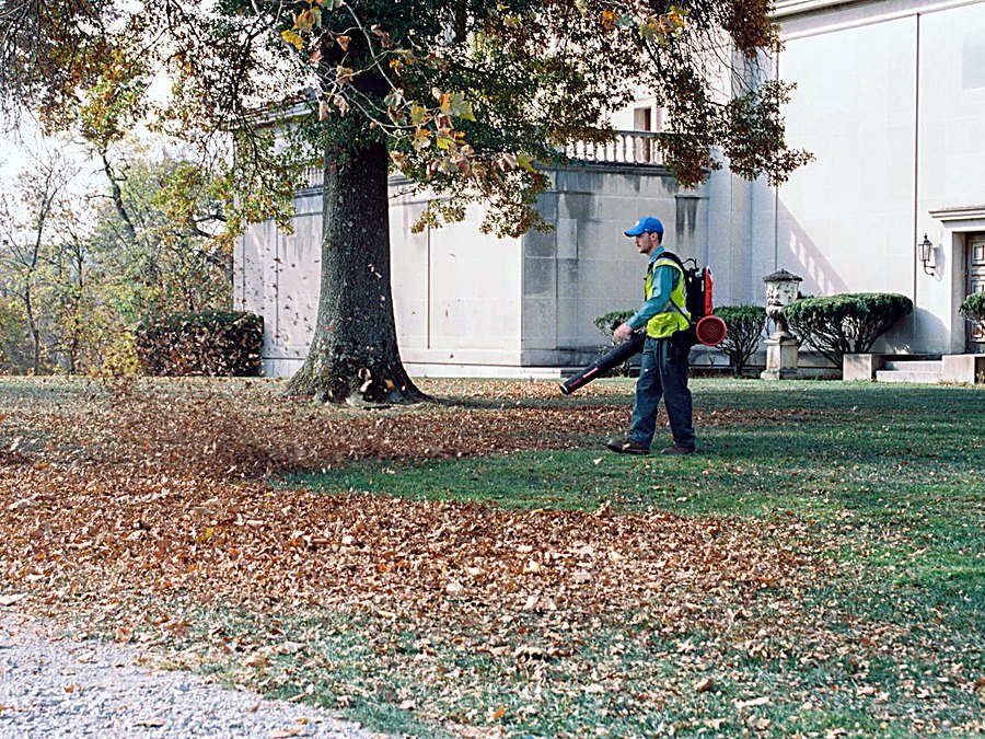 Groundskeeper with a backpack blower driving fallen autumn leaves into a windrow across a lawn