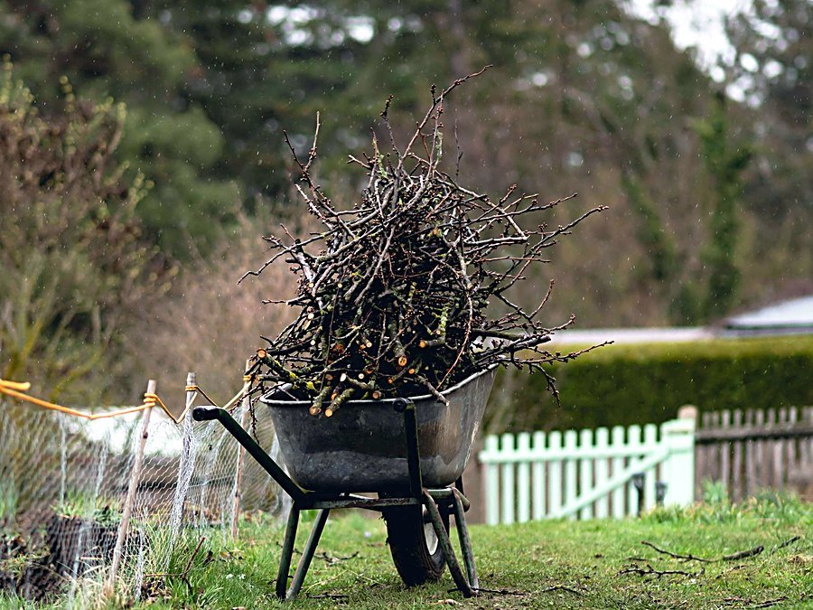 Open truck bed loaded with grass clippings, cut brush and leaves, with rakes stood in the load